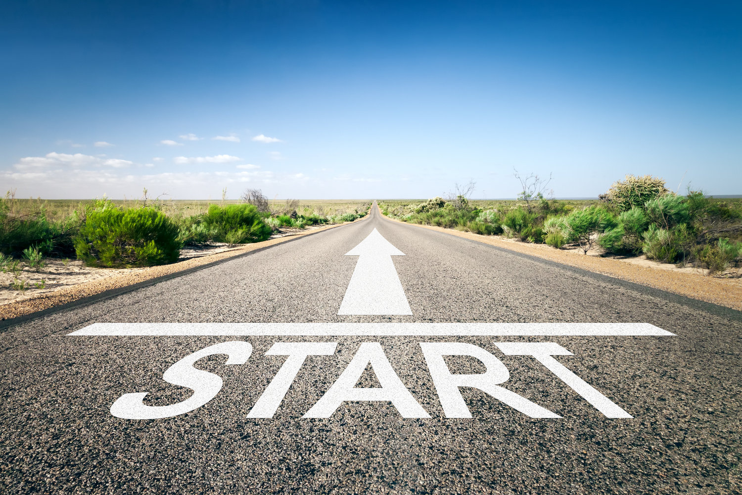 start of the article